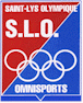 Saint Lys Olympique Omnisports